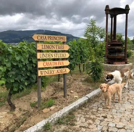 Дом отдыха Casa Da Eva At Terrus Winery *
