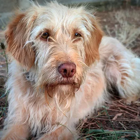 Casa Da Eva At Terrus Winery