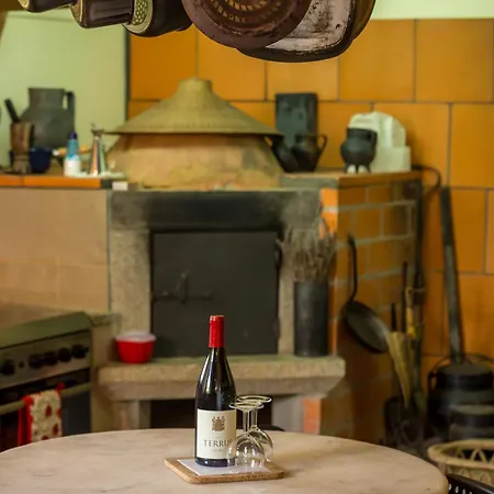 Дом отдыха Casa Da Eva At Terrus Winery *