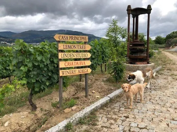 Сasa de vacaciones Casa Da Eva At Terrus Winery *