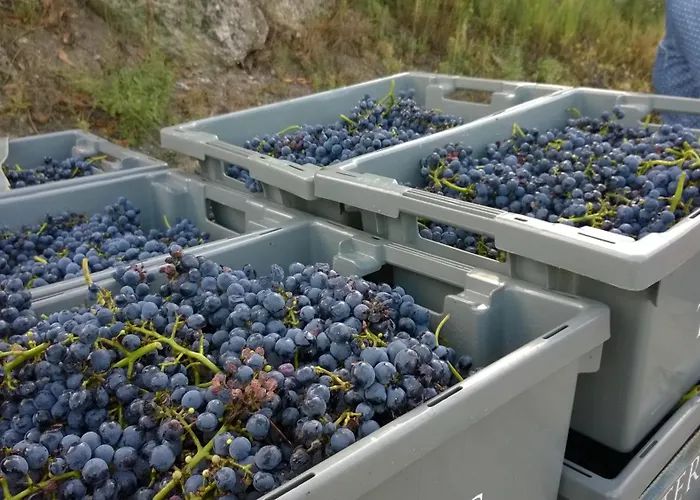Сasa de vacaciones Casa Da Eva At Terrus Winery Barro (Vila Real)