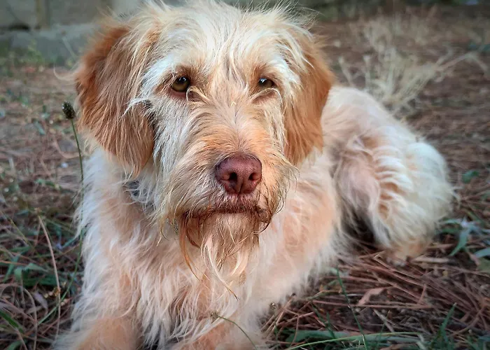 Casa Da Eva At Terrus Winery